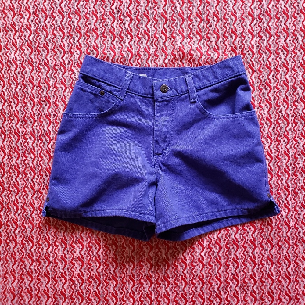 90's Purple No Boundaries Shorts- 3/4